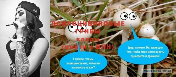 соль ск Кинешма
