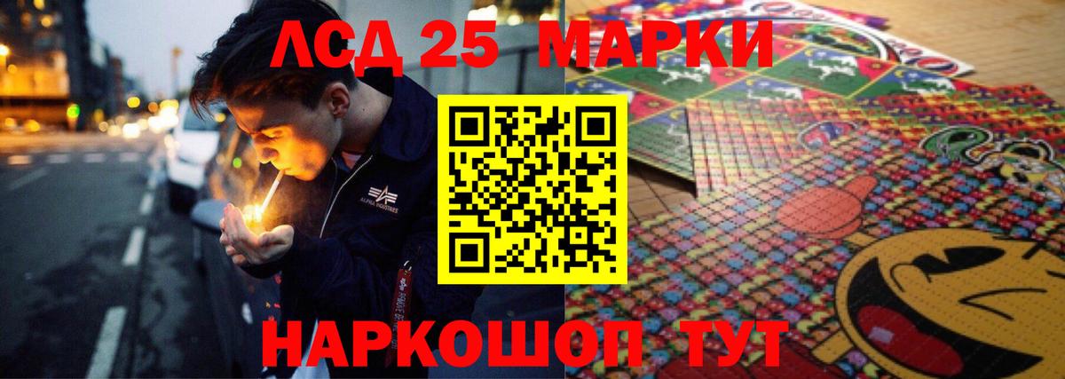 Кингисепп  Лсд 25 экстази ecstasy  Вход с VPN  Лсд 25 экстази ecstasy 