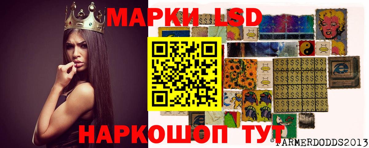 LSD-25 экстази кислота Кингисепп