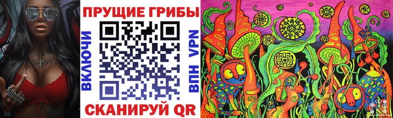 Псилоцибиновые грибы GOLDEN TEACHER  Кингисепп 