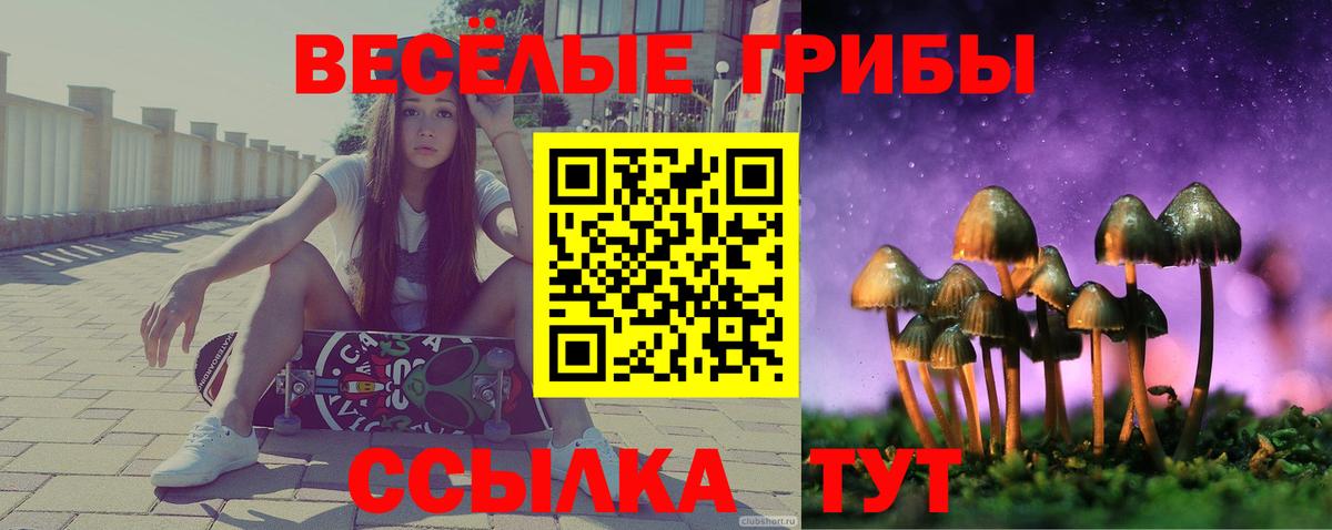 Псилоцибиновые грибы GOLDEN TEACHER Кингисепп